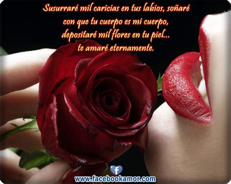 Imágenes Bonitas De Rosas Rojas Con Frases De Amor Imagenes De Amor