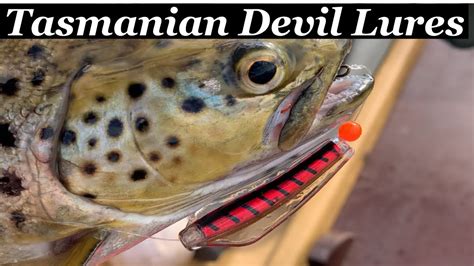 How Good Are Tasmanian Devil Fishing Lures For Trout Tassie Devil