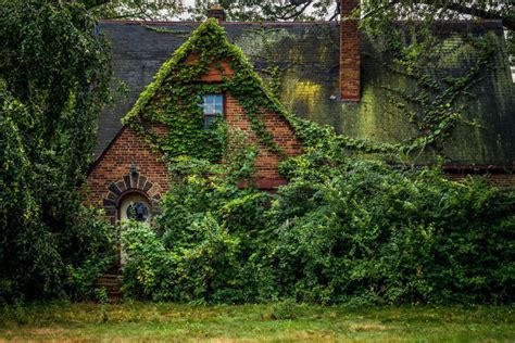 Abandoned Buildings Reclaimed When Nature Takes Over