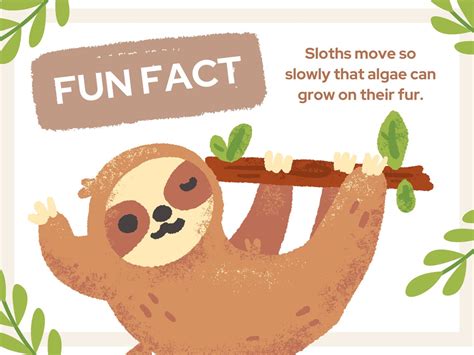 50 Animal Fact Poster, for Children Classroom Wall Decor Digital Printable Kids Learning Tool - Etsy