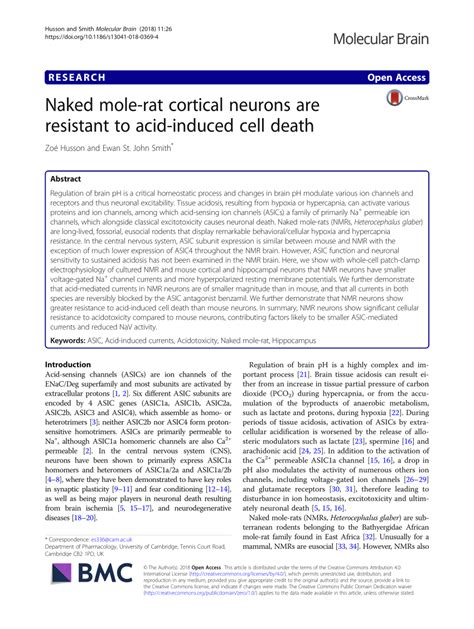 Pdf Naked Mole Rat Cortical Neurons Are Resistant To Acid Induced