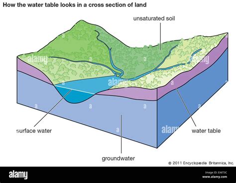 The Diagram Below Shows A Cross Section Of Land Numbers Show Four