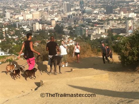 Griffith Park: Runyon Canyon Park