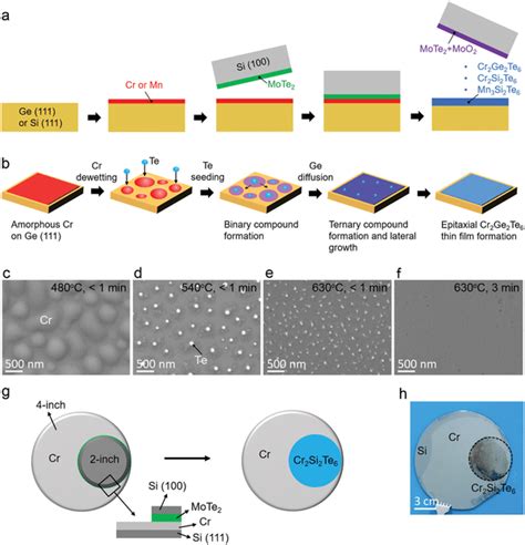 A Schematic Illustration Of The Epitaxial Growth Process For Ternary