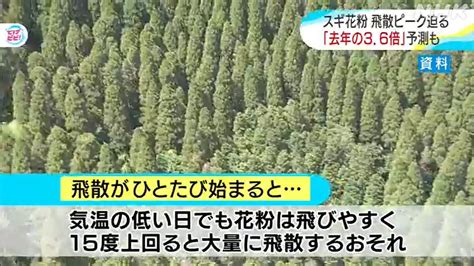 スギ花粉飛散量は去年の36倍 花粉が付きにくい服の素材は？ Nhk