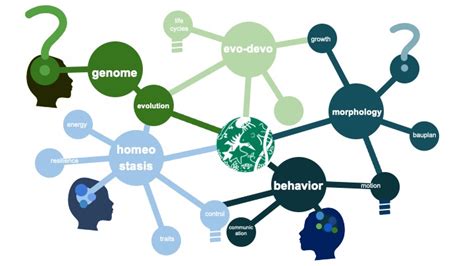 Integrative Biology Incubator Workshop Oct 14th 2022 Sicb