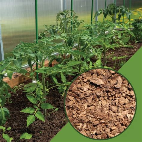 Block peat for plant roots viability in Florida soil - Areapeat