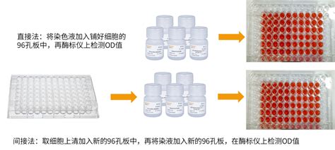 细胞增殖 毒性检测方法大全上化学发光法检测