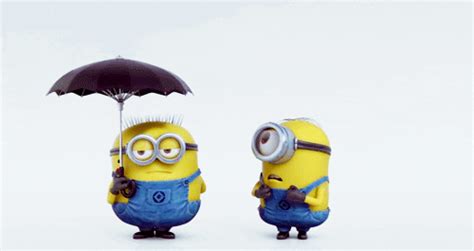 Despicable Me Minions  Find And Share On Giphy