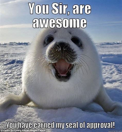 Easily Pleased Seal Memes Quickmeme