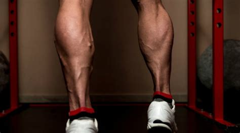 Calf Training Build Bigger Lower Legs Muscle And Fitness