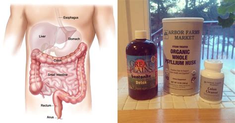 Heres How To Remove Unwanted Wastes And Toxins In Your Body With An