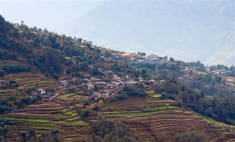 230+ Ghandruk Village Stock Photos, Pictures & Royalty-Free Images - iStock