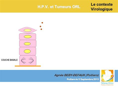 Le contexte virologique ppt télécharger