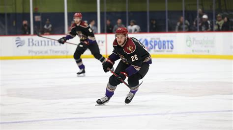 Tucson Roadrunners Road Ahead Back Home With The Barracuda