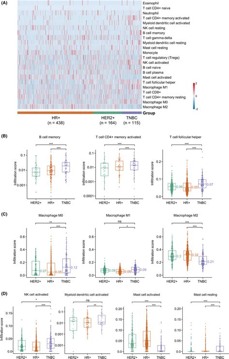 Analysis Of 22 Immune Cell Infiltration According To Cibersort