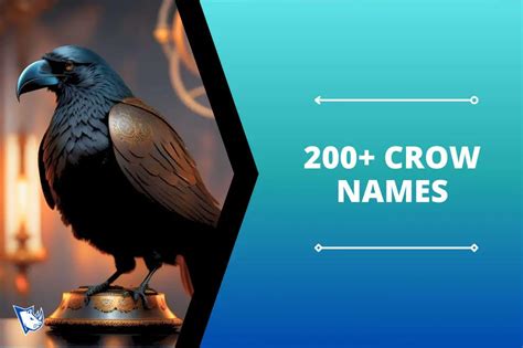 200+ Crow Names From Black Feather Chronicles