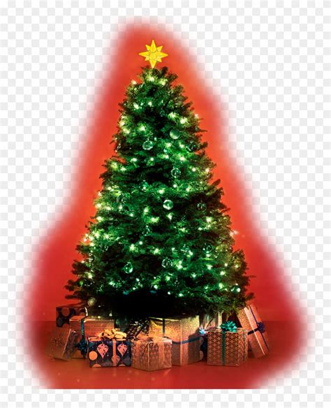 Arvore De Natal Png Christmas Tree Transparent Png 843x1000