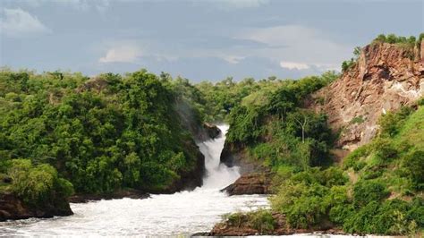 2 Day Murchison Falls Wildlife Safari - murchison falls safari