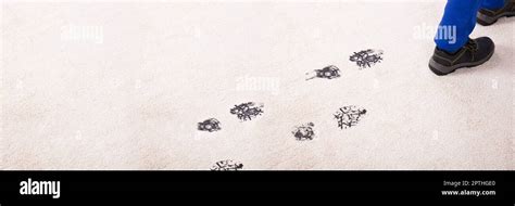 Muddy Carpet Footprint. Mud Footprints Indoors On Floor Stock Photo - Alamy