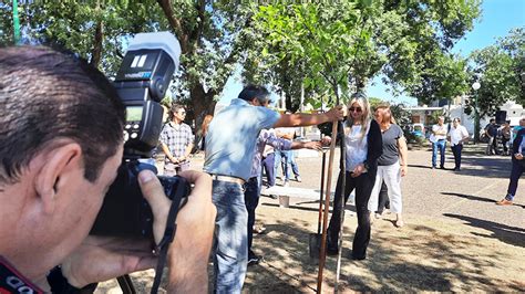 D A Del Reportero Gr Fico Plantaron Un Rbol En La Plaza Jos Luis