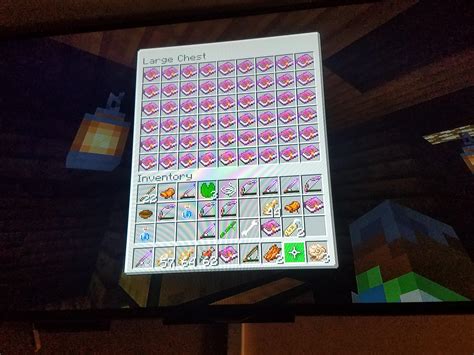 anything is possible with mending as an enchant : r/Minecraft