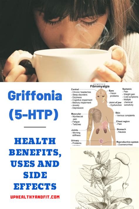 Griffonia Simplicifolia (5-HTP) Health Benefits, Uses and Side Effects