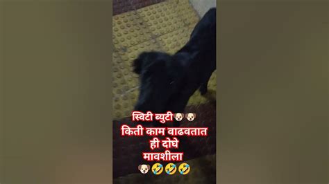 Shortsvideoyewalesupriya किती काम ही दोघे वाढवतातमावशीला स्विटी ब्युटीत्याला काय प्रमाण 🐶🐶🤣