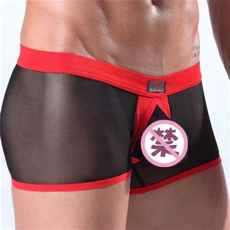 Hot Sale Low Waist Mens Sexy Sheath Underwear Sheer Panties Mens Pouch