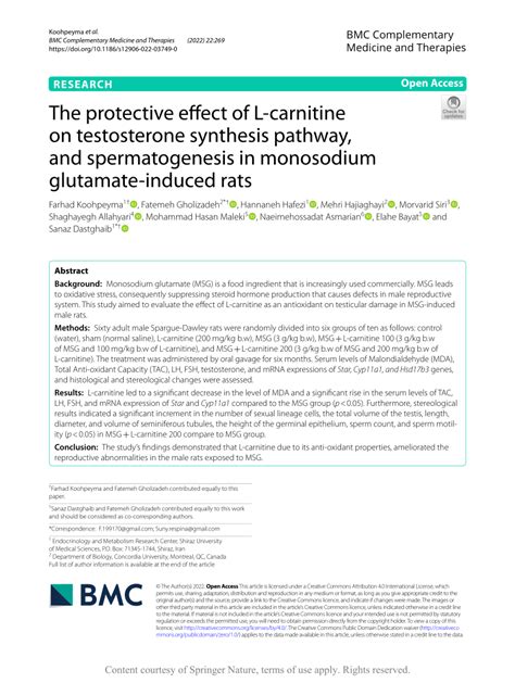 PDF The Protective Effect Of L Carnitine On Testosterone Synthesis