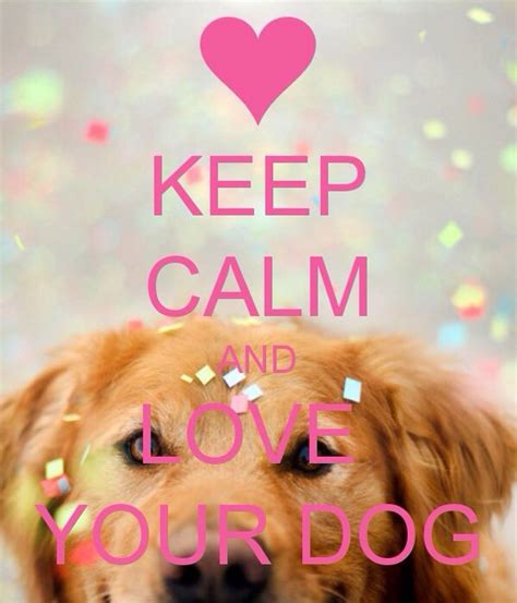 Keep calm and love your dog | Keep calm and love, Keep calm, I love dogs