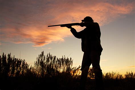 Wallpaper Shotgun Men Silhouette Hunter Shotgun Evening