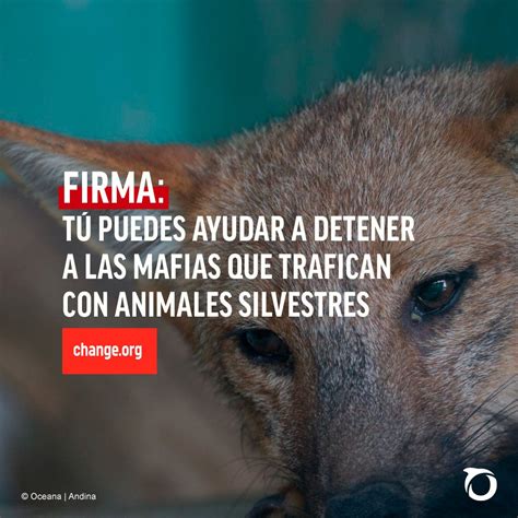 Oceana Per On Twitter Mientras El Congreso No Incluya Al