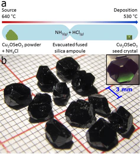 Seeded Cvt Diagram And Resultant Crystals A A Diagram Of The Seeded