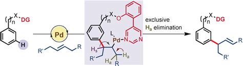 Palladium‐catalyzed Directed Meta‐selective C−h Allylation Of Arenes