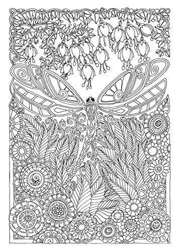 Creative Haven Entangled Dragonflies Coloring Book Adult Coloring