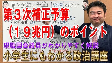 【動画】第3次補正予算19兆円のポイント【小学生にもわかる政治講座】 れいわ新選組幹事長 高井たかし 公式サイト