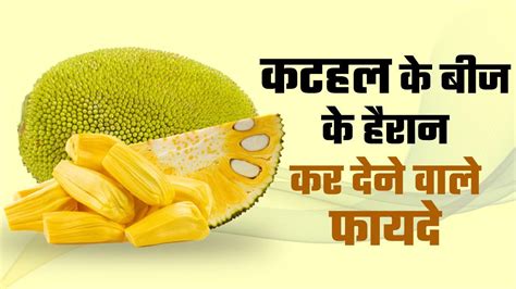 Benefits Of Jackfruit Seeds कटहल के बीज खाने के हैं यह लाजवाब फायदे