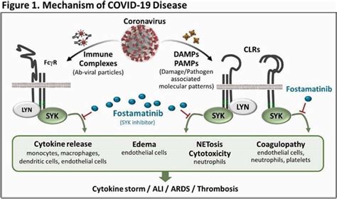 Phase Trial Of Fostamatinib For The Treatment Of Covid