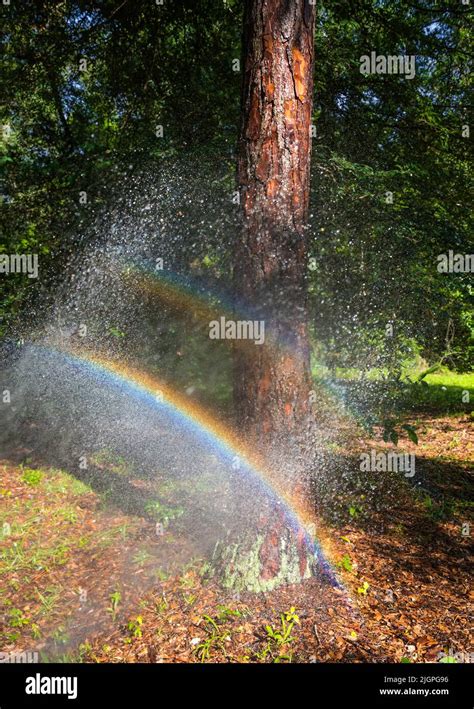 Rainbow Formed From Spraying With A Garden Hose Stock Photo Alamy