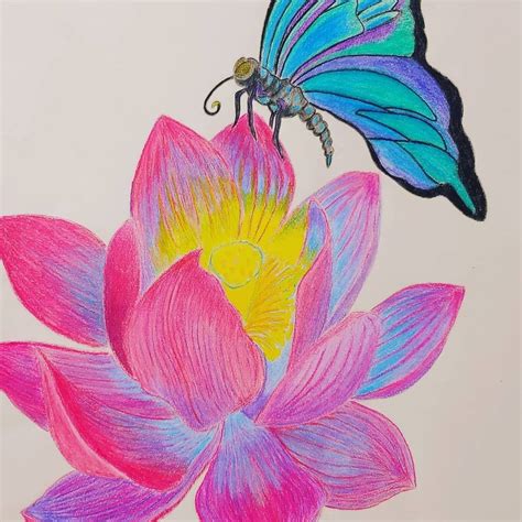 Vibrant Lotus with its companion, Color pencil, me, 2020 : r/drawing