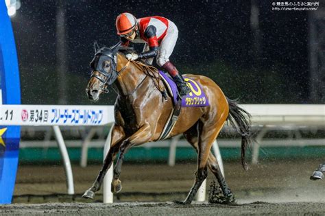 ブリーダーズgcjpn3はグランブリッジが勝利 馬産地ニュース 競走馬のふるさと案内所