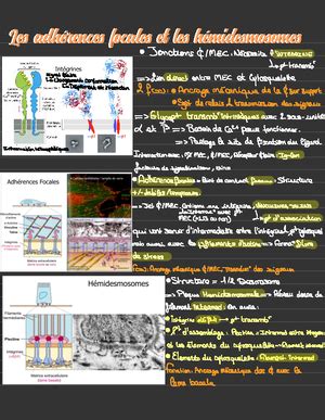 Fascicule Td Bci Bio Cell Ue L Biologie Cellulaire Et