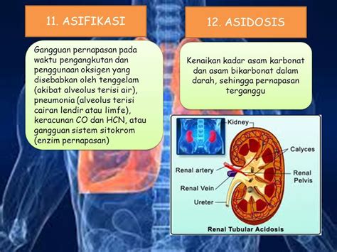 Tujuan Pembelajaran Jenis Jenis Pernapasan Penyakit Atau Gangguan Pada