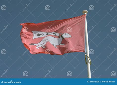 Flag Of The City Of Vannes With An Ermine On A Red Background Stock