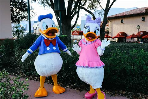 Meet Donald and Daisy Duck at Disney World