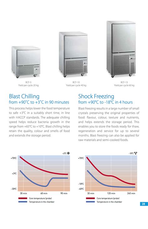 Swing Door Blast Freezer 5 Trays Capacity 15 To 20 Kg Stainless