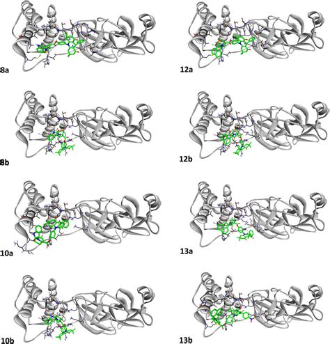 Molecular Docking Studies On The Best Possible Binding Position Of