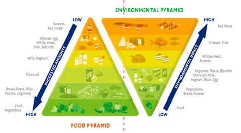 Agriculture beyond the Green Revolution: Shaping the Future We Want