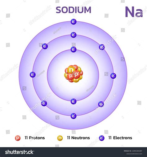 Sodium Atomic Structureconsists 11 Protons 11 Stock Vector (Royalty ...